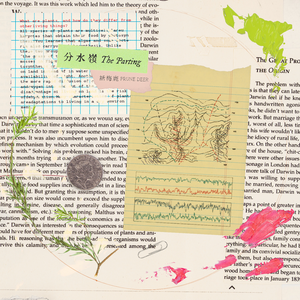 99视频免费在线观看
